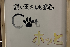 Ｃａｔホッと